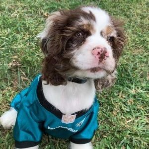 Meet your Posher, Judy